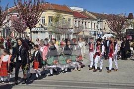 Видин - Цветница - читалище - празничен концерт