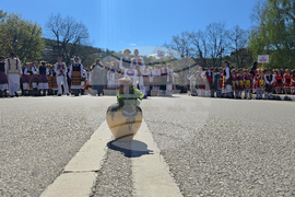 Ловеч - Цветница