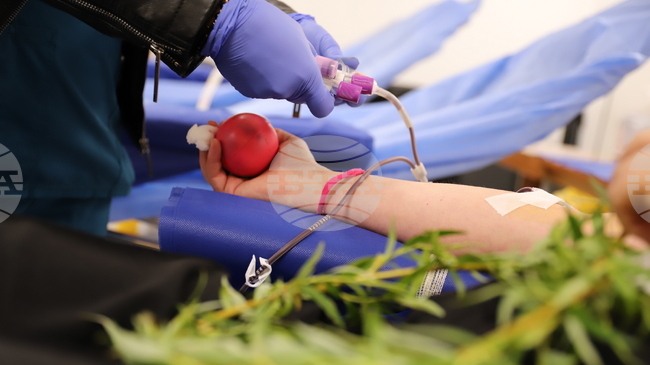 Кръвният център на ВМА отчете рекорд с осем хиляди дарители за година 