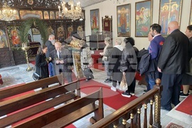 Турция - Истанбул - Цветница