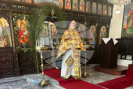 Турция - Истанбул - Цветница