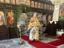 Турция - Истанбул - Цветница