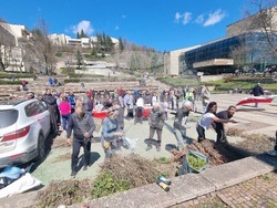 Смолян - раздаване на фиданки - инициатива