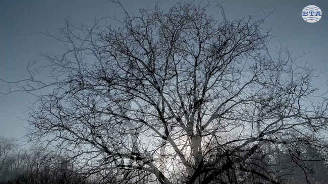 Екипът на филма за Цвети Стоянова: Нужна е „Оглушителна тишина”, за да не продължаваме мълчанието