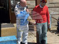 Снимка: Община Банско