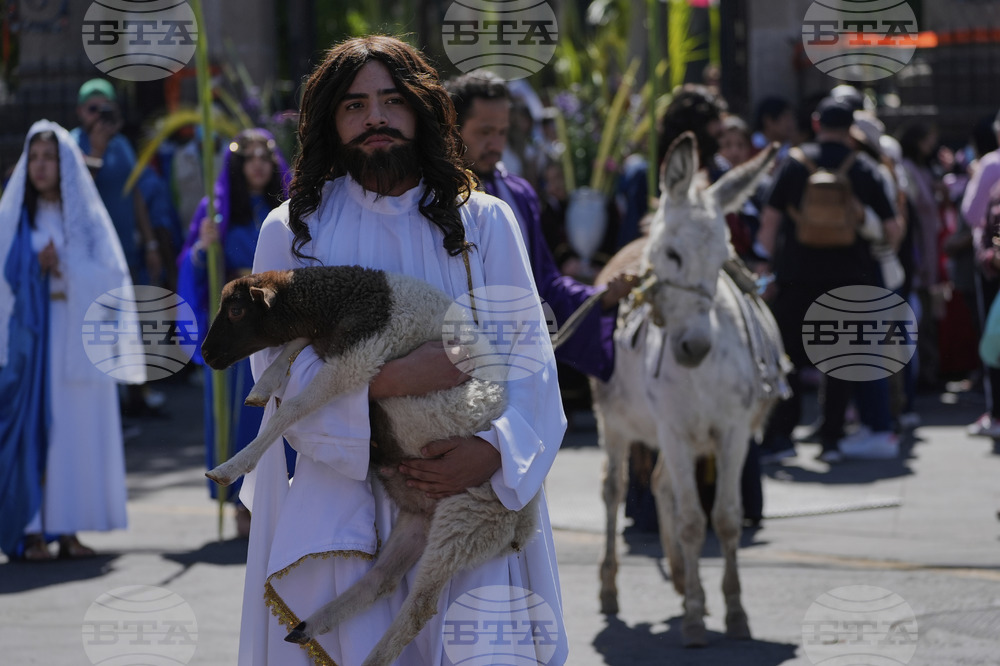 Mexico Palm Sunday