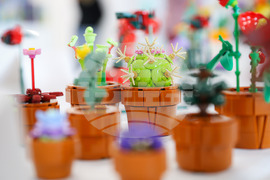 Бургас - „First Lego League” - роботика - фестивал