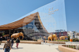 Япония - Осака ЕКСПО 2025 - изложение