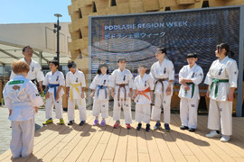 Япония - Осака ЕКСПО 2025 - изложение