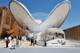 Япония - Осака ЕКСПО 2025 - изложение