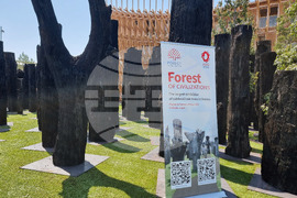 Япония - Осака ЕКСПО 2025 - изложение