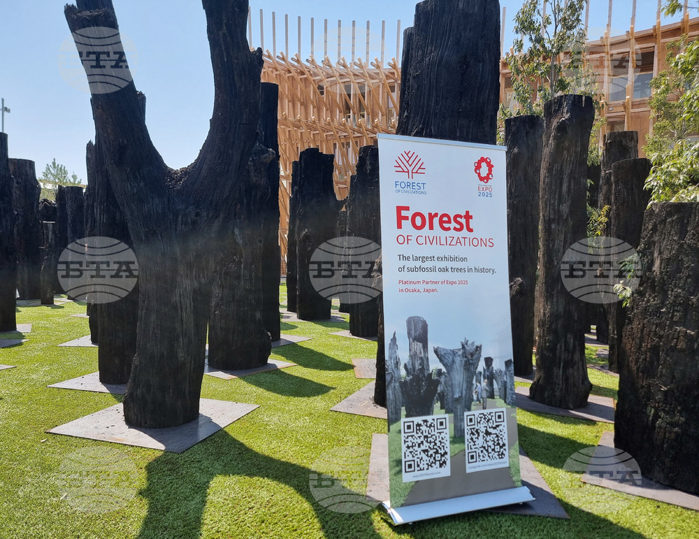 Япония - Осака ЕКСПО 2025 - изложение