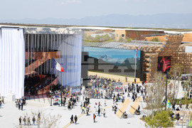 Япония - Осака ЕКСПО 2025 - изложение