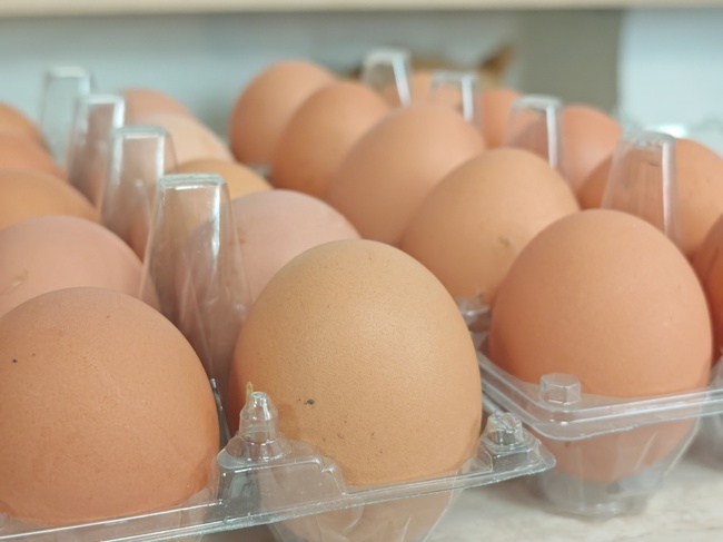 Egg Prices Up in EU in March Y/Y, Down in Bulgaria, Eurostat Data