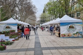 Монтана - фермерски пазар