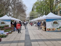 Монтана - фермерски пазар