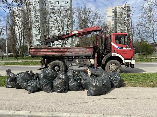 Близо 20 тона отпадъци бяха събрани в Добрич в рамките на кампанията "Пица за смет"