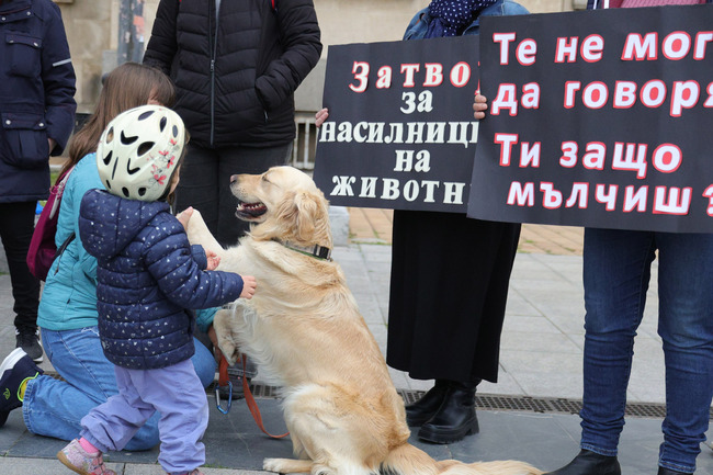 Министерският съвет внесе в деловодството на парламента промените в Наказателния кодекс, свързани с насилието над животни