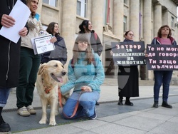 Русе - насилие над животни - протест