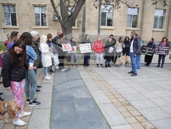 Русе - насилие над животни - протест
