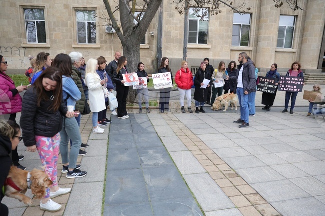 По-строги и ефективни наказания за насилия над животни поискаха с протест русенци