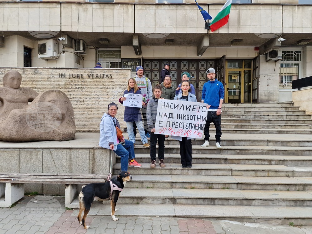 Великотърновци се включиха и във втория национален протест в защита на животните