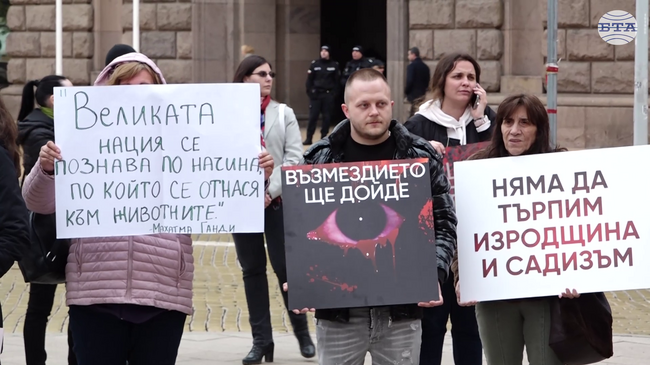 Протест срещу насилието над животни събра десетки души пред сградата на Народното събрание