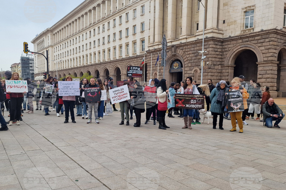 Протест срещу насилието над животни