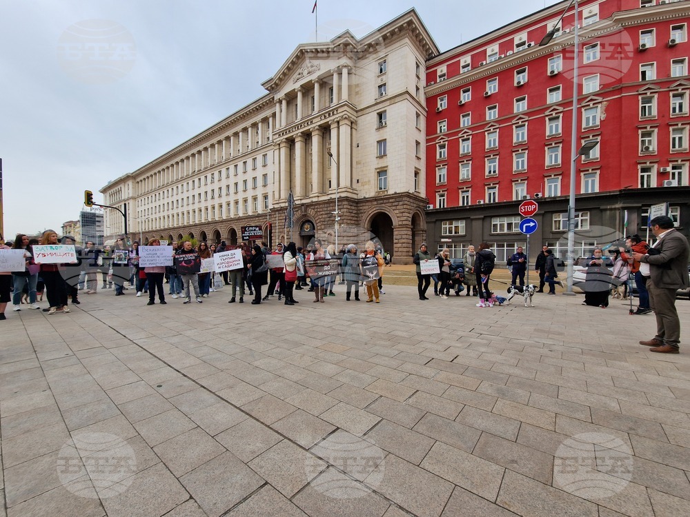 Протест срещу насилието над животни