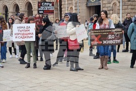 Протест срещу насилието над животни