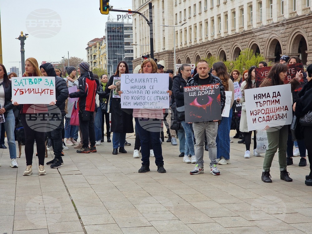 Dozens Protest against Animal Abuse in Downtown Sofia