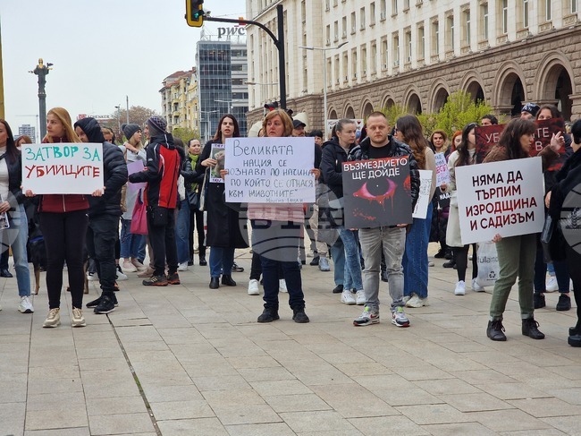 Dozens Protest against Animal Abuse in Downtown Sofia 