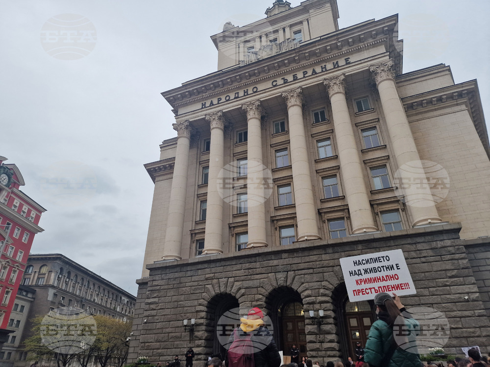 Премиерът Желязков ще открие кръгла маса на тема „Заедно срещу жестокостта! Нови заплахи и ефективни решения в защита на животните“
