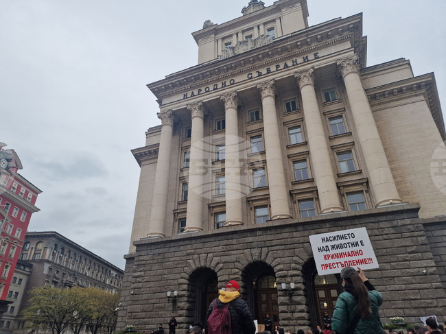 Премиерът Желязков ще открие кръгла маса на тема „Заедно срещу жестокостта! Нови заплахи и ефективни решения в защита на животните“