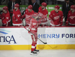 Stars Red Wings Hockey