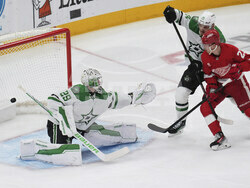 Stars Red Wings Hockey