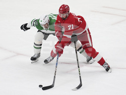Stars Red Wings Hockey
