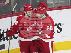 Stars Red Wings Hockey