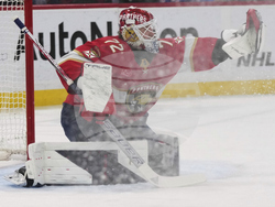 Rangers Panthers Hockey