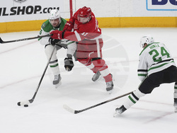 Stars Red Wings Hockey