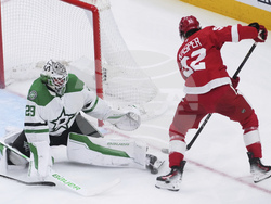 Stars Red Wings Hockey