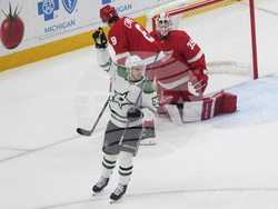 Stars Red Wings Hockey
