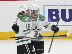 Stars Red Wings Hockey