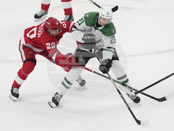 Stars Red Wings Hockey