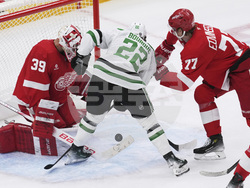 Stars Red Wings Hockey