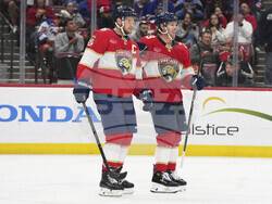 Rangers Panthers Hockey