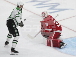 Stars Red Wings Hockey