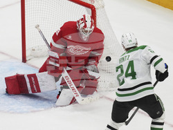 Stars Red Wings Hockey