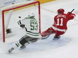 Stars Red Wings Hockey