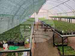 Снимка: Община Шумен